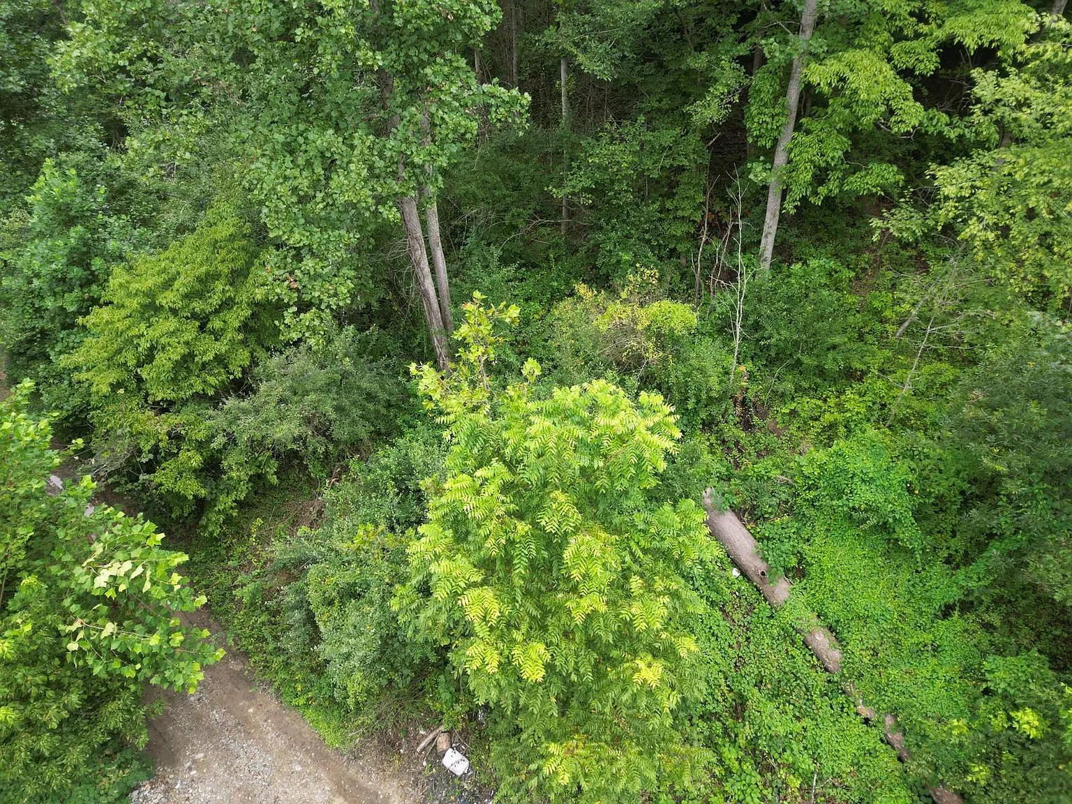 151 Acres in Ridgeview, West Virginia